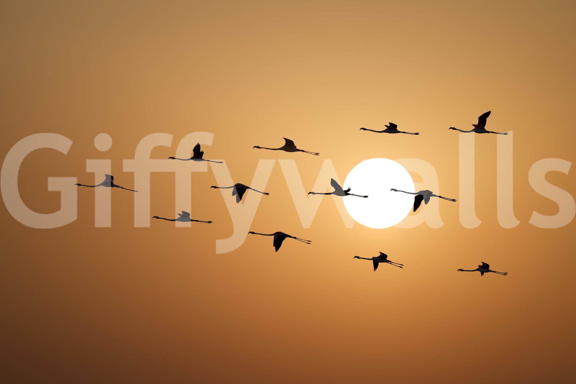Golden horizon flock wall mural with flamingo silhouettes against amber sunset sky., GD10459