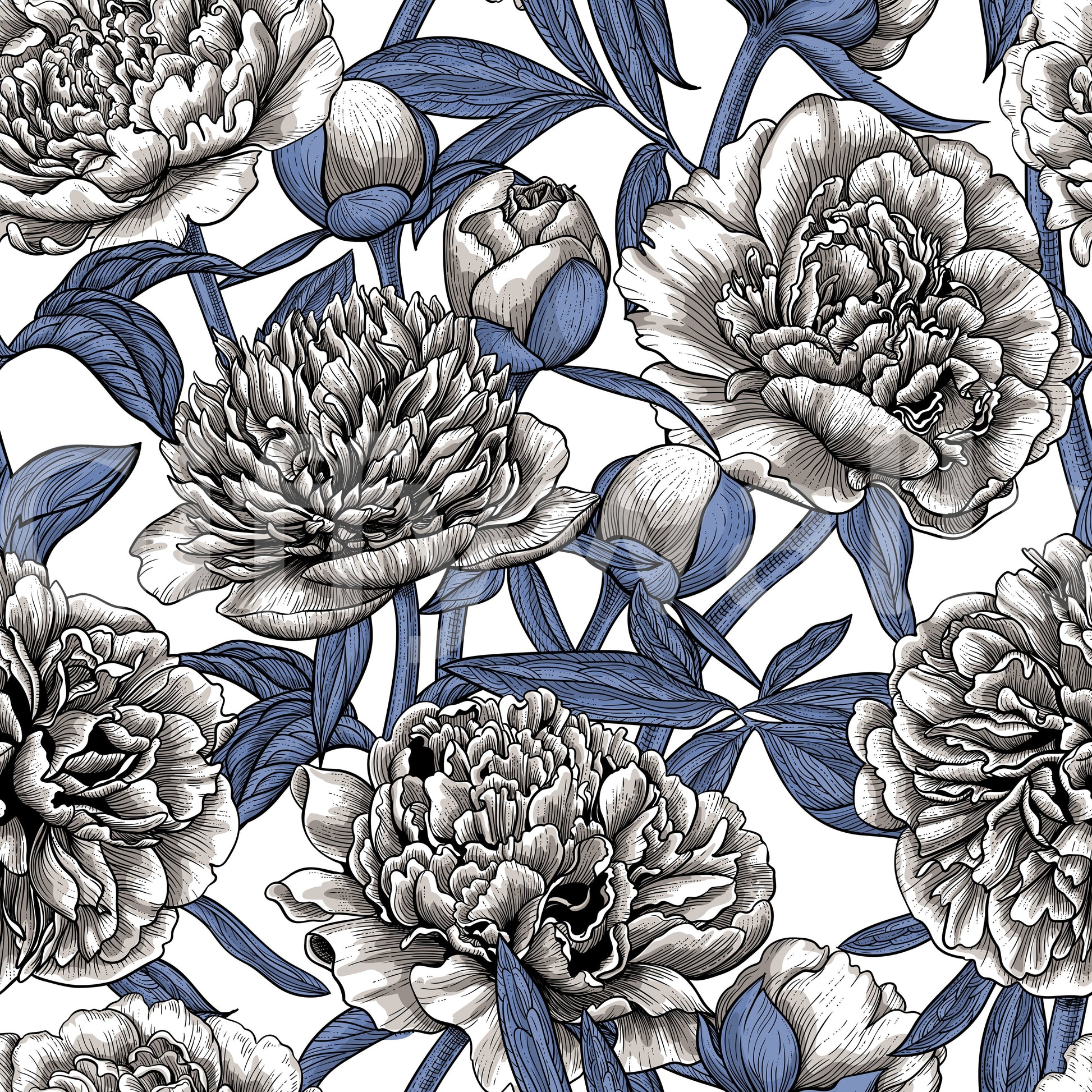 Vintage Blue and Cream Engraved Peonies Wallpaper Wallpaper⁠