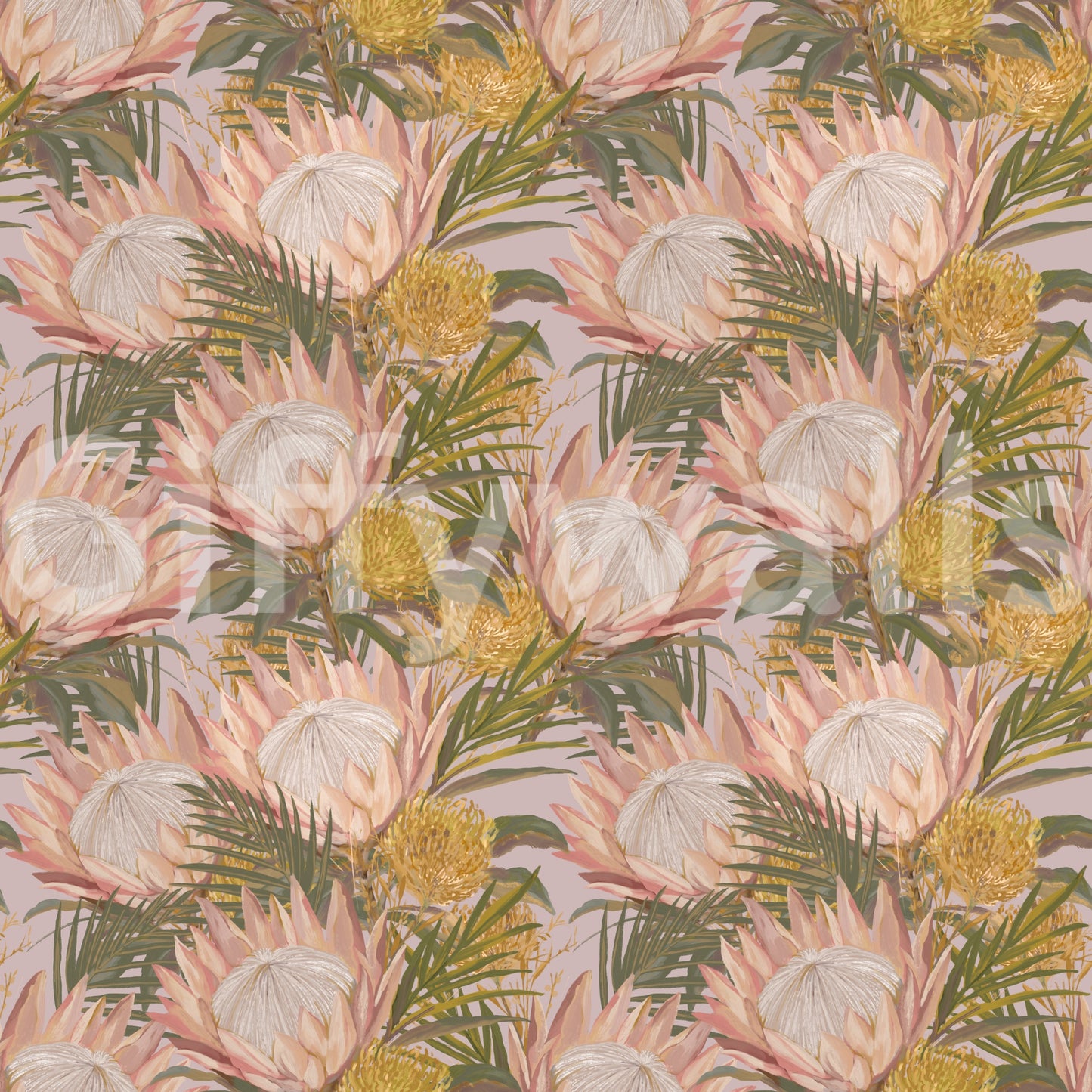 King Protea and Pincushion Botanical Wallpaper