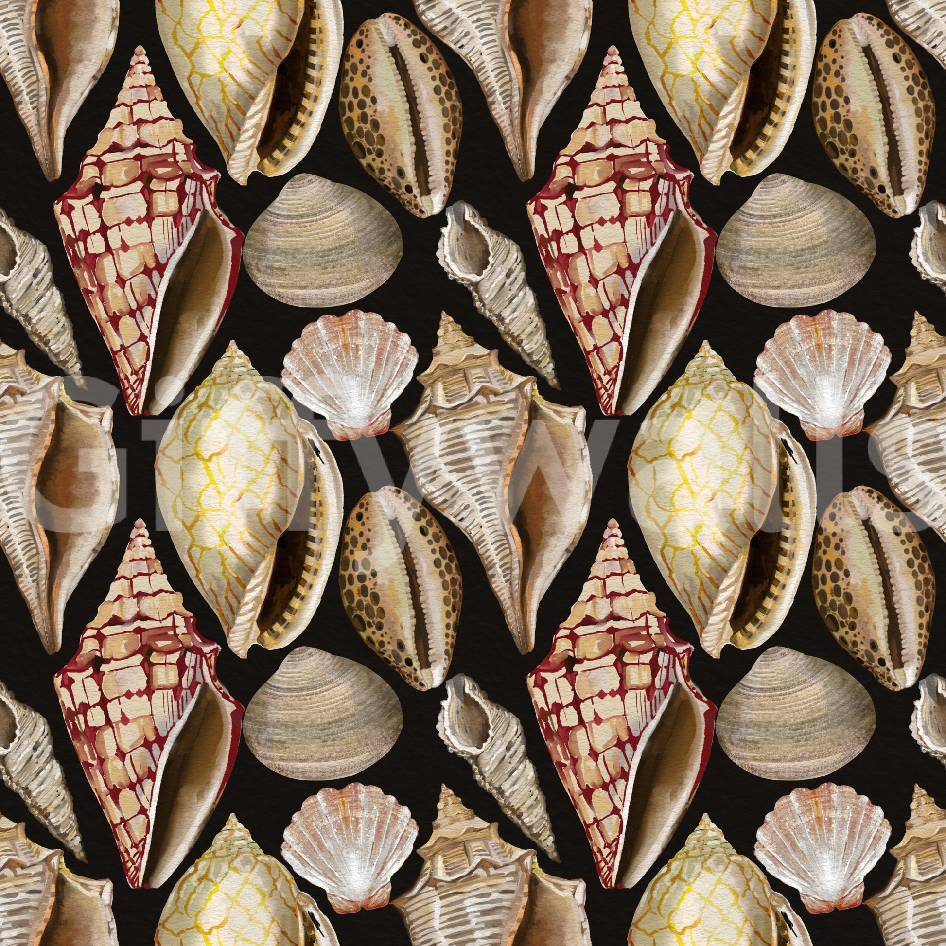 Moody Vintage Seashells Wallpaper Wallpaper⁠