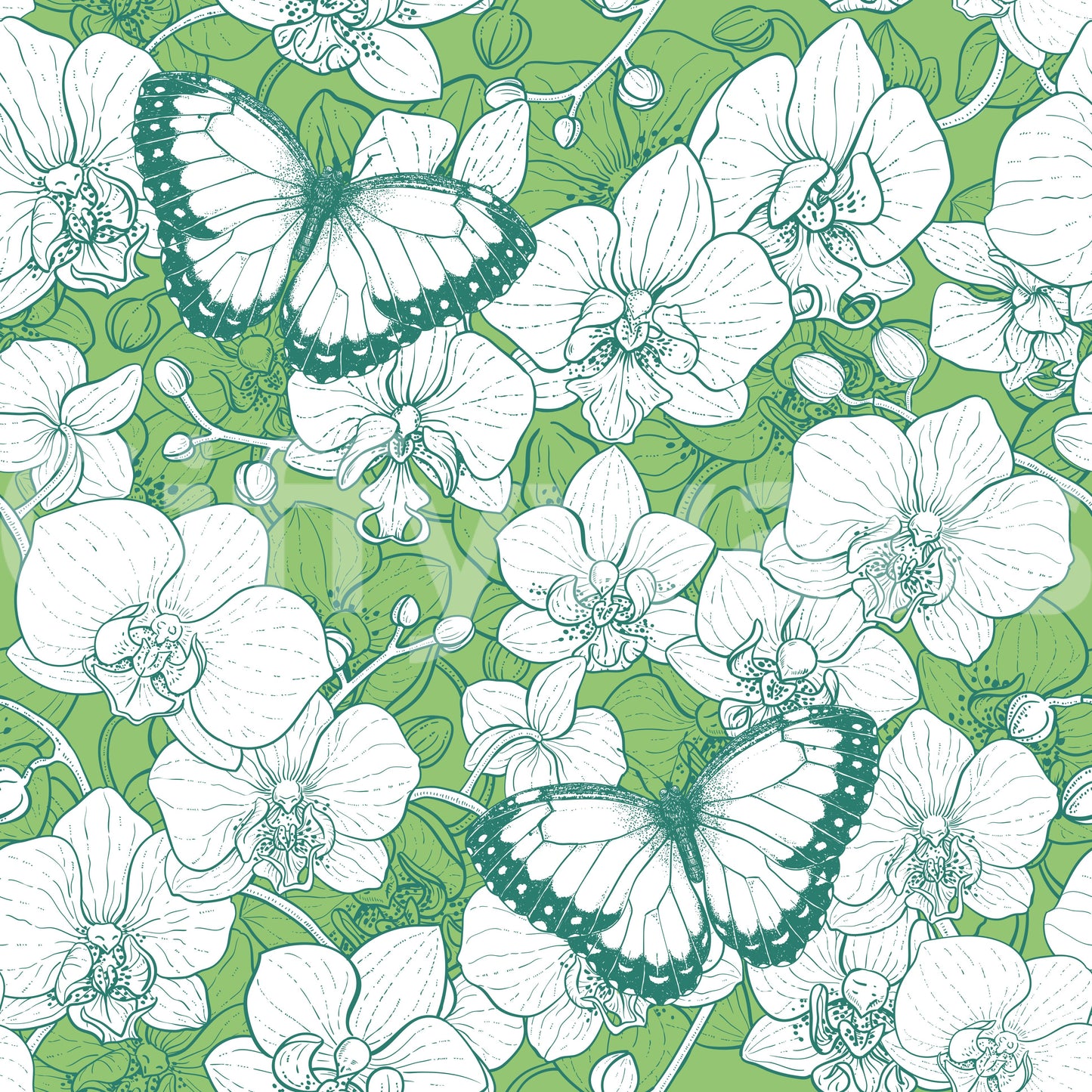 Botanical Orchid Garden with Butterflies 2 Wallpaper⁠