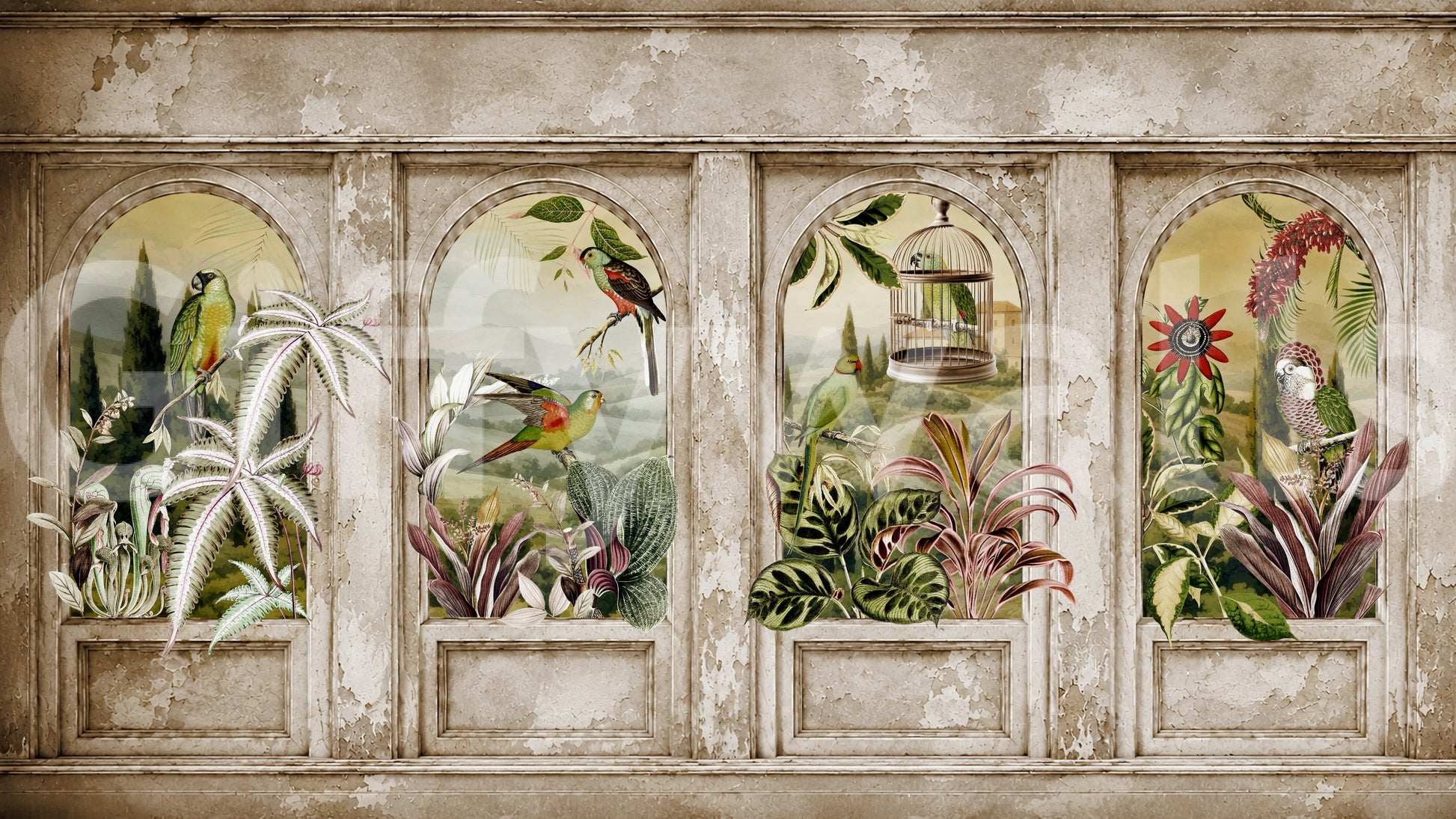 Vintage Parrot Arches Wall Mural Wall Mural