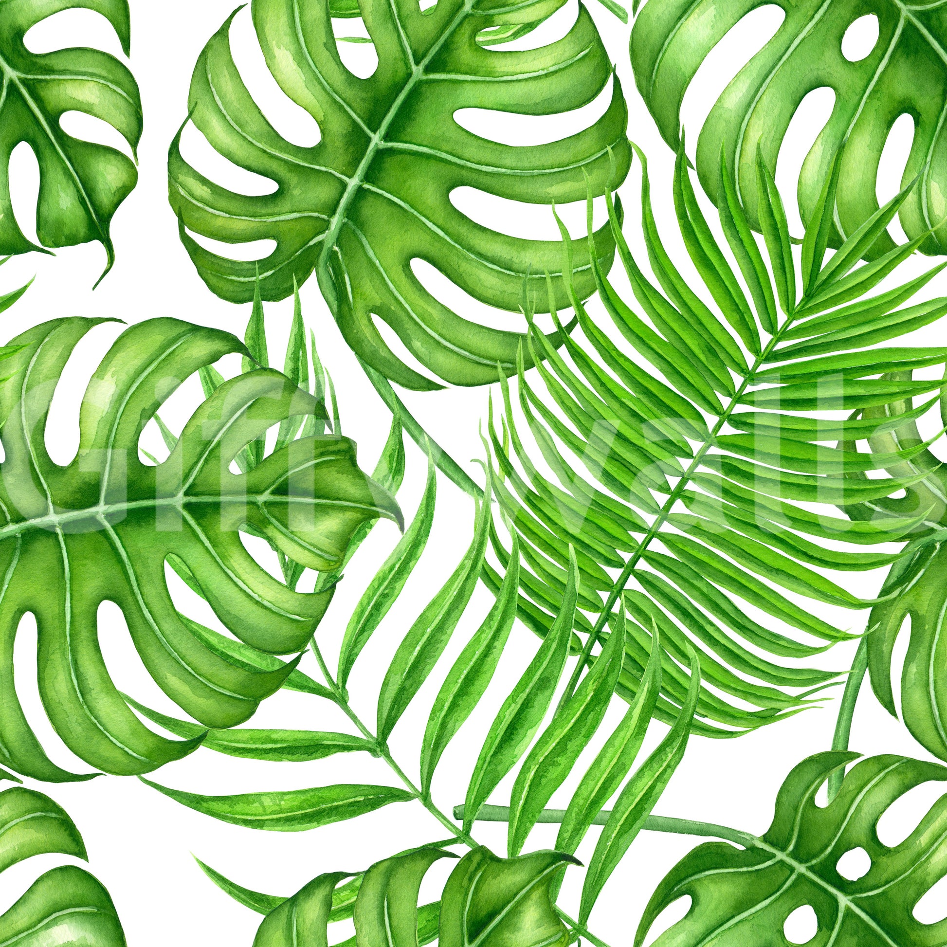 Tropical leaves Wallpaper⁠