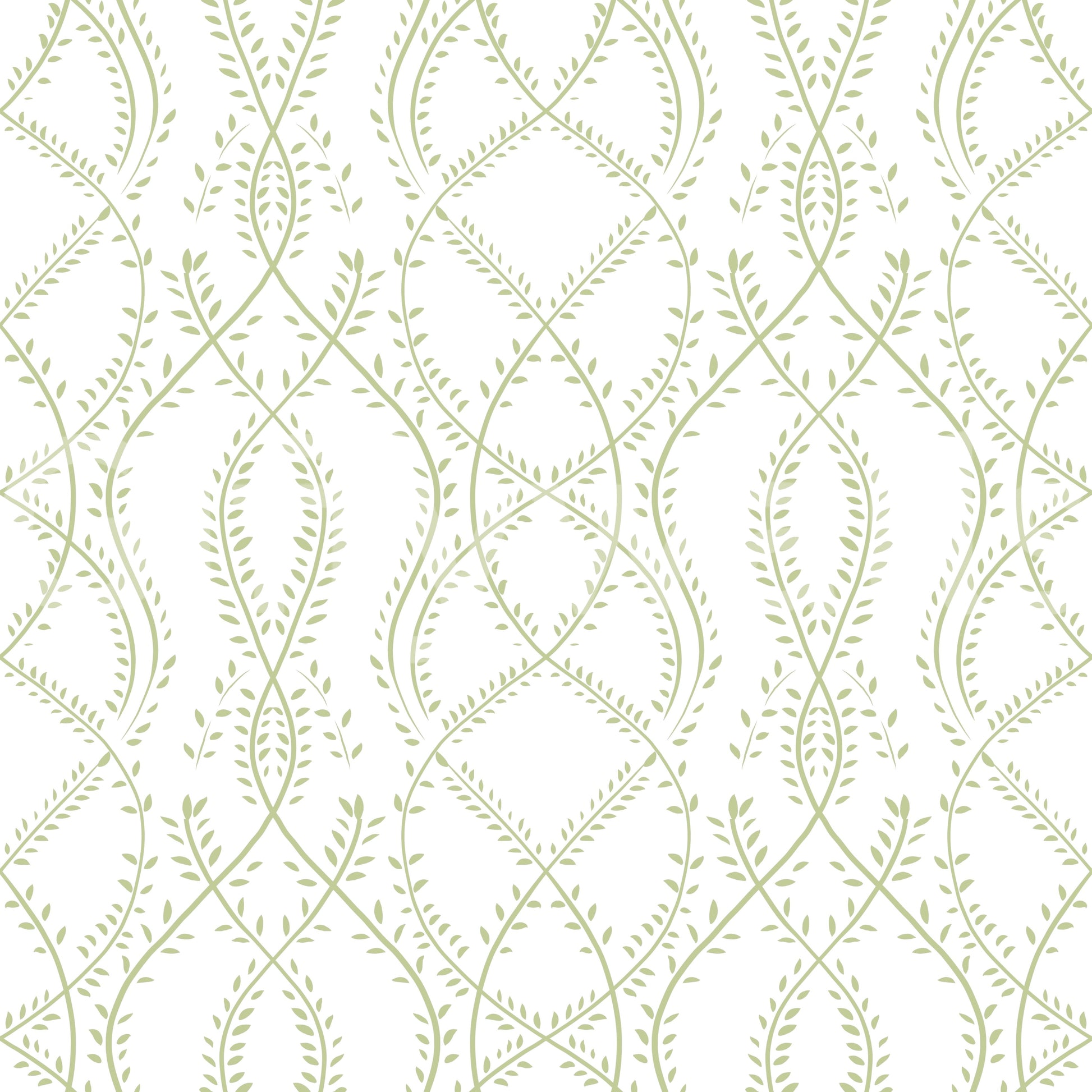 Sage Green Botanical Vine Trellis Wallpaper Wallpaper⁠