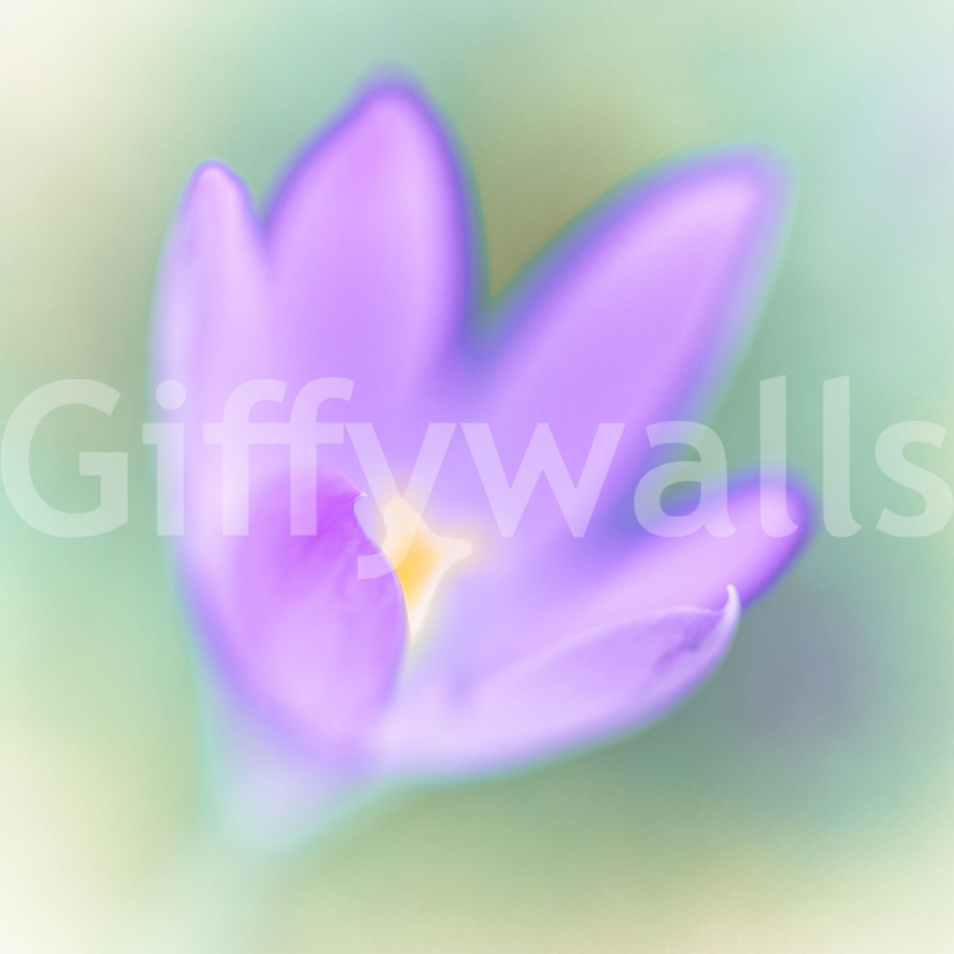 Ethereal Lavender Bloom Wall Mural