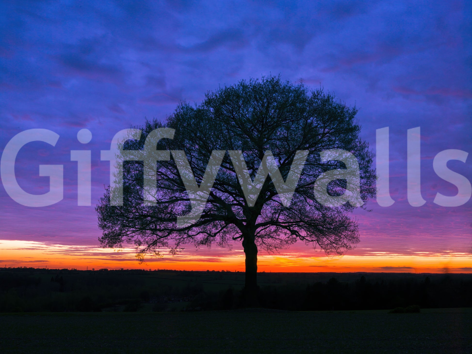 Solitary Oak at Twilight Wall Mural