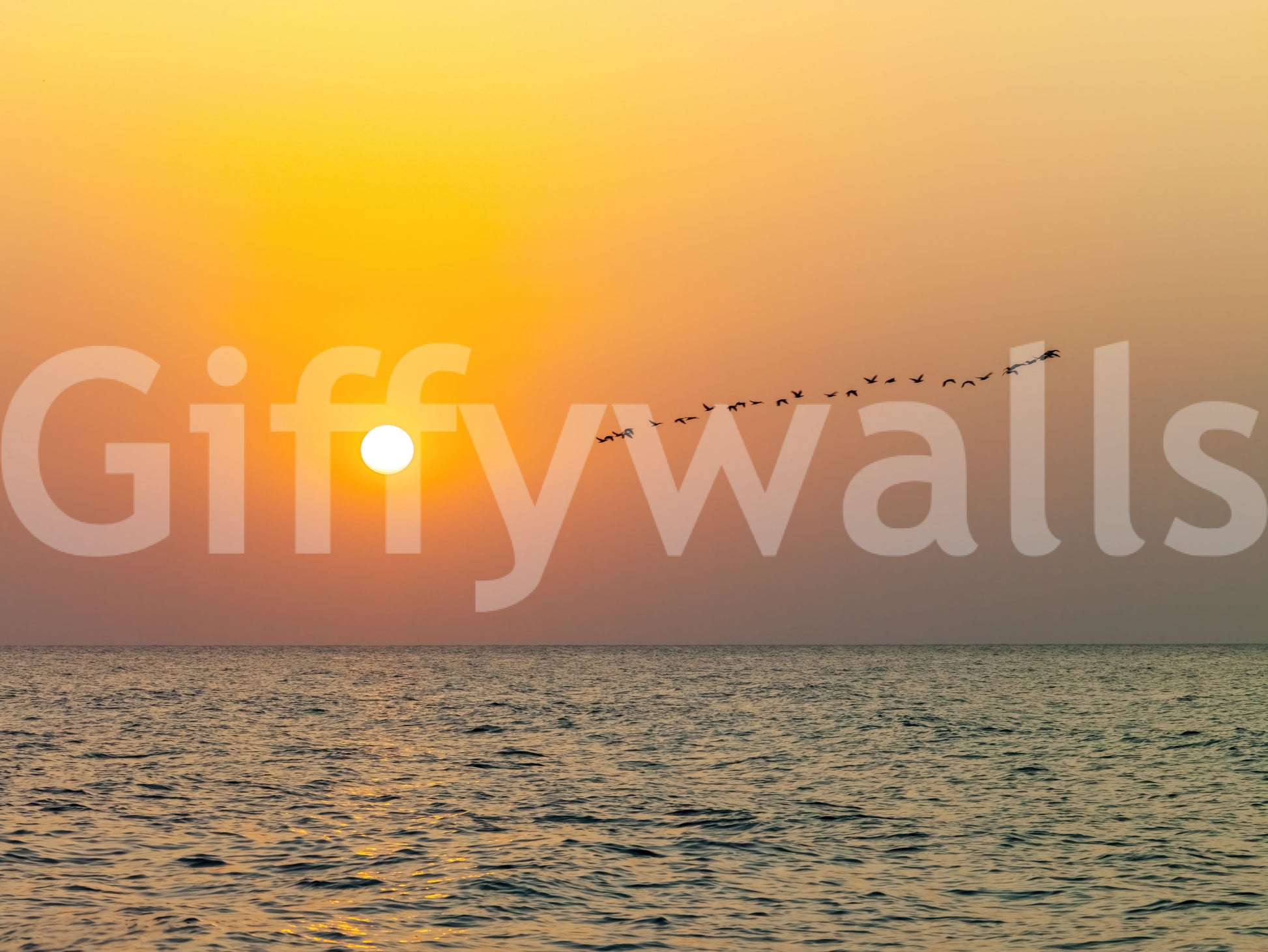 Golden Sea Horizon and Migrating Birds Wall Mural