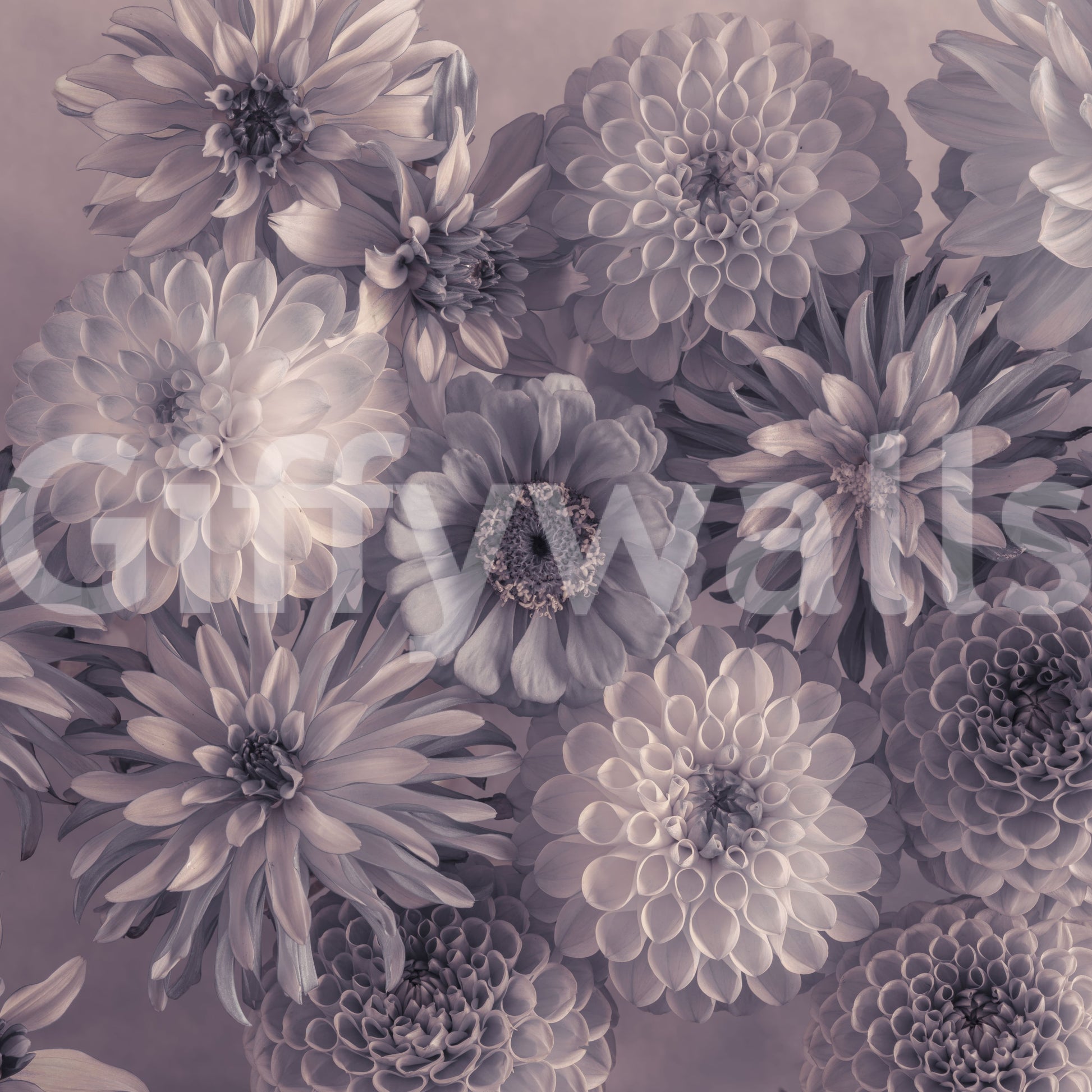 Smoky Lavender Botanical Bouquet Wall Mural