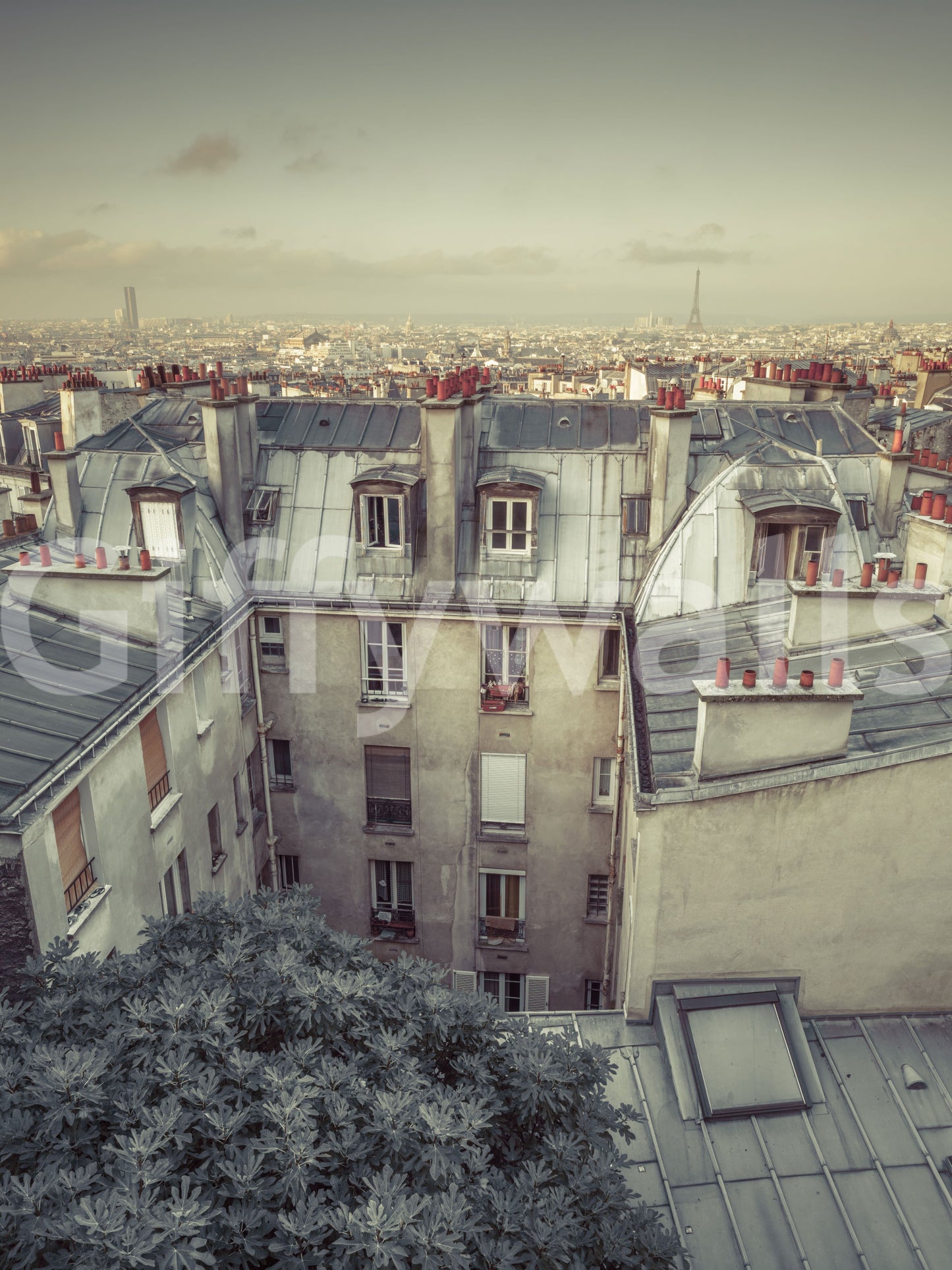 Vintage Paris Skyline Aerial View Wall Mural