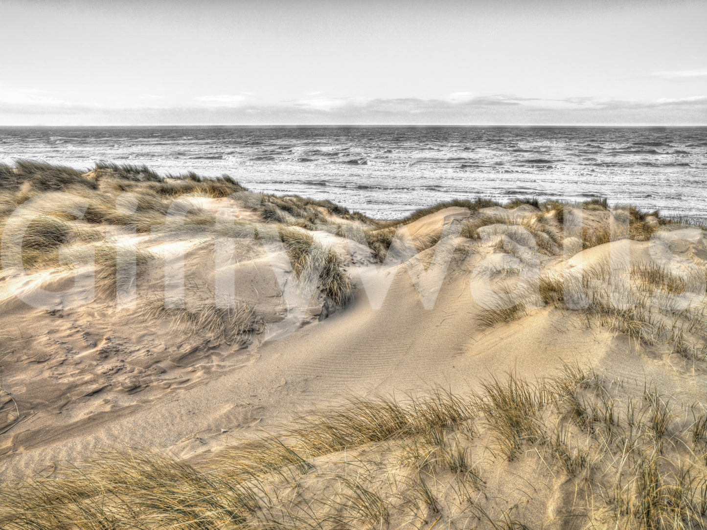 Dune Winds and Coastal Tide Wall Mural