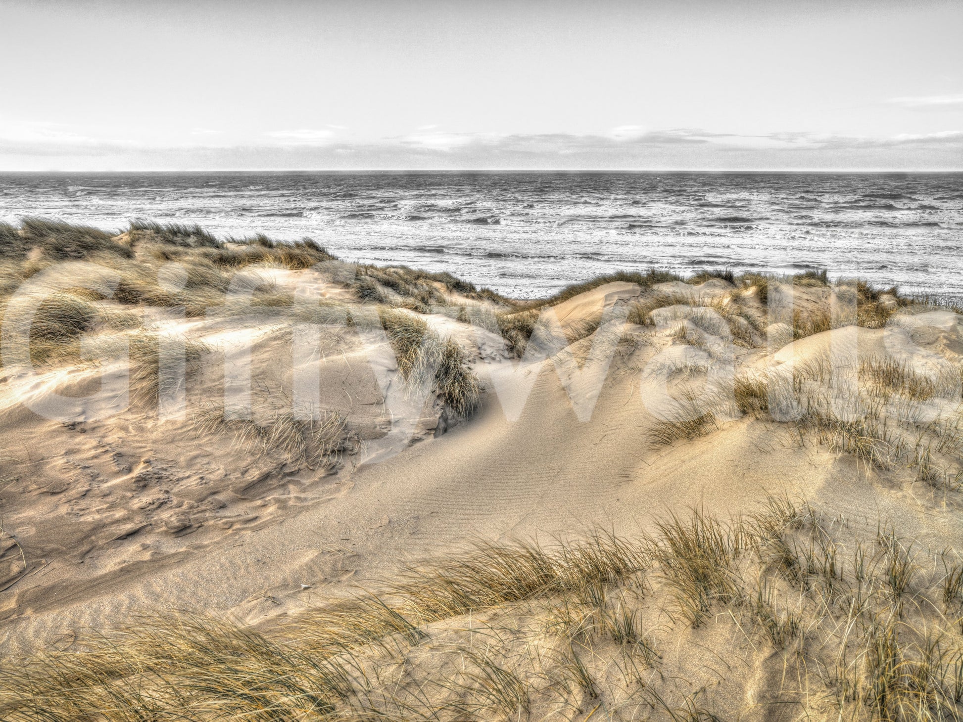 Dune Winds and Coastal Tide Wall Mural