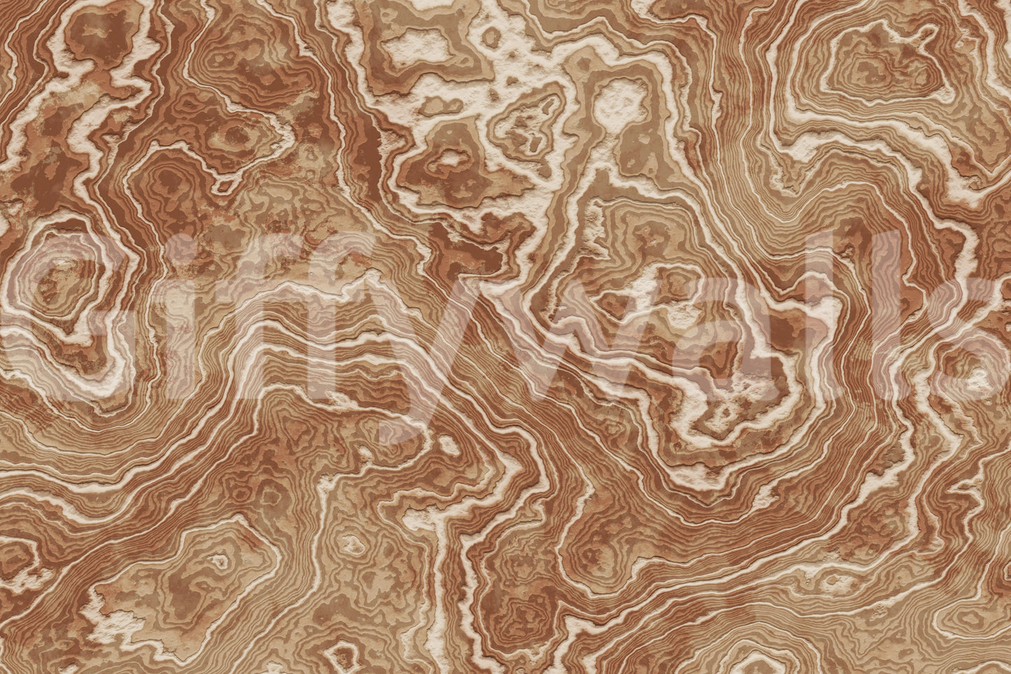 Concentric Earth Agate Texture Wall Mural