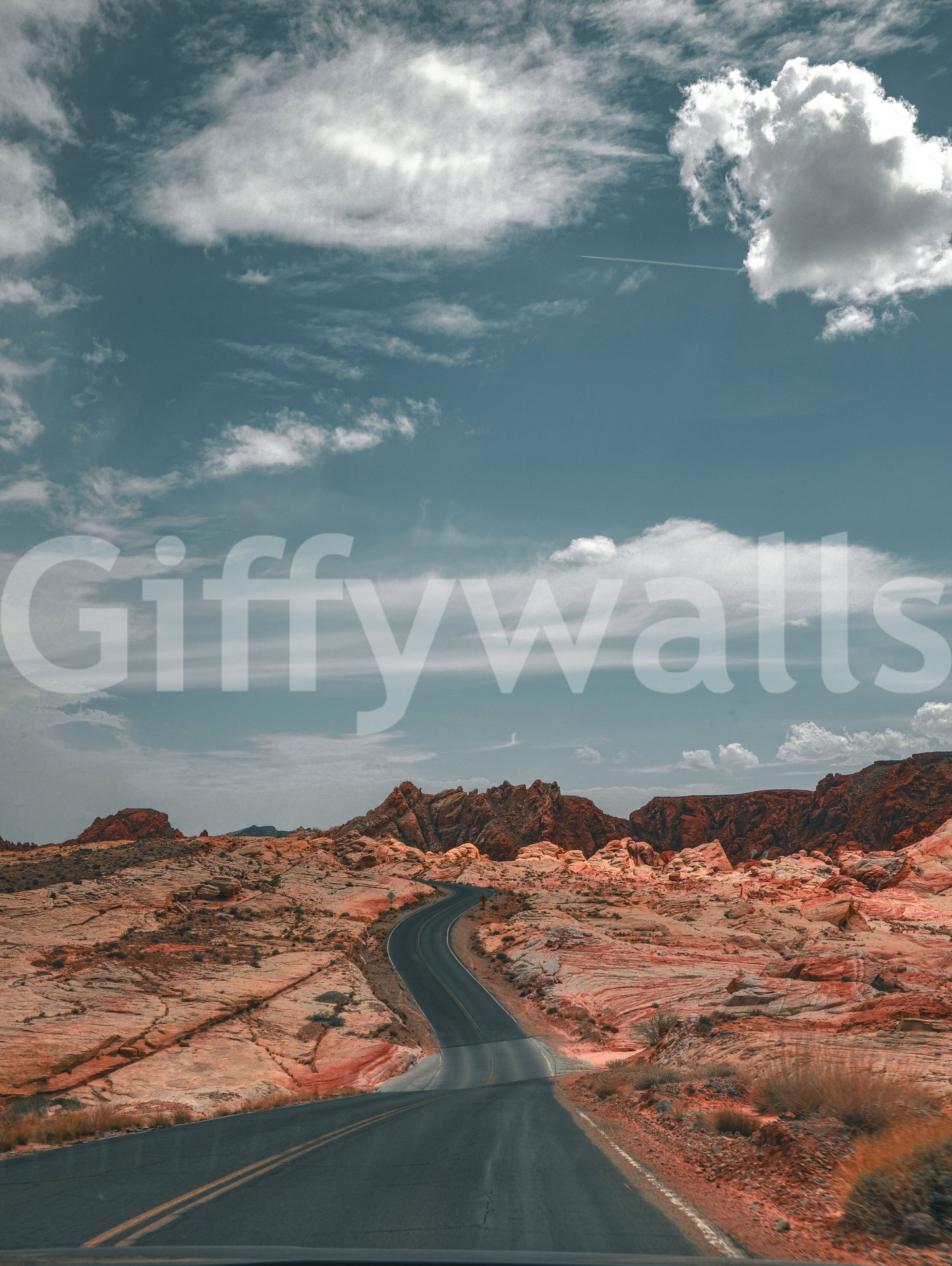 Winding Desert Highway Wall Mural