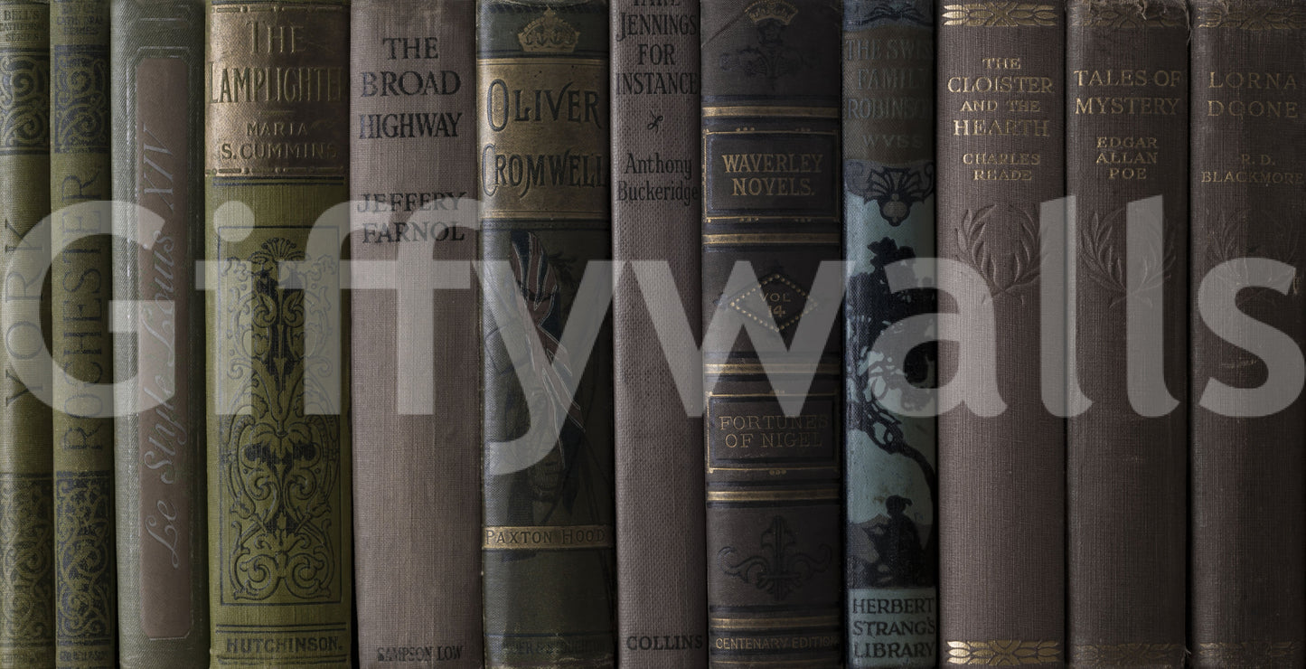 Vintage Library Book Spine Collection Wall Mural