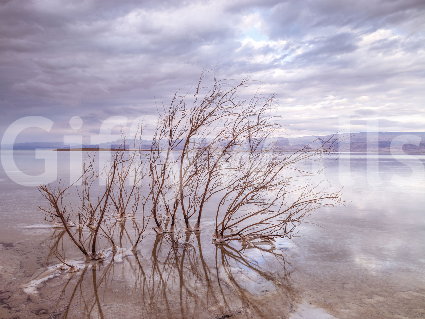 Misty Shoreline Reflection Wall Mural