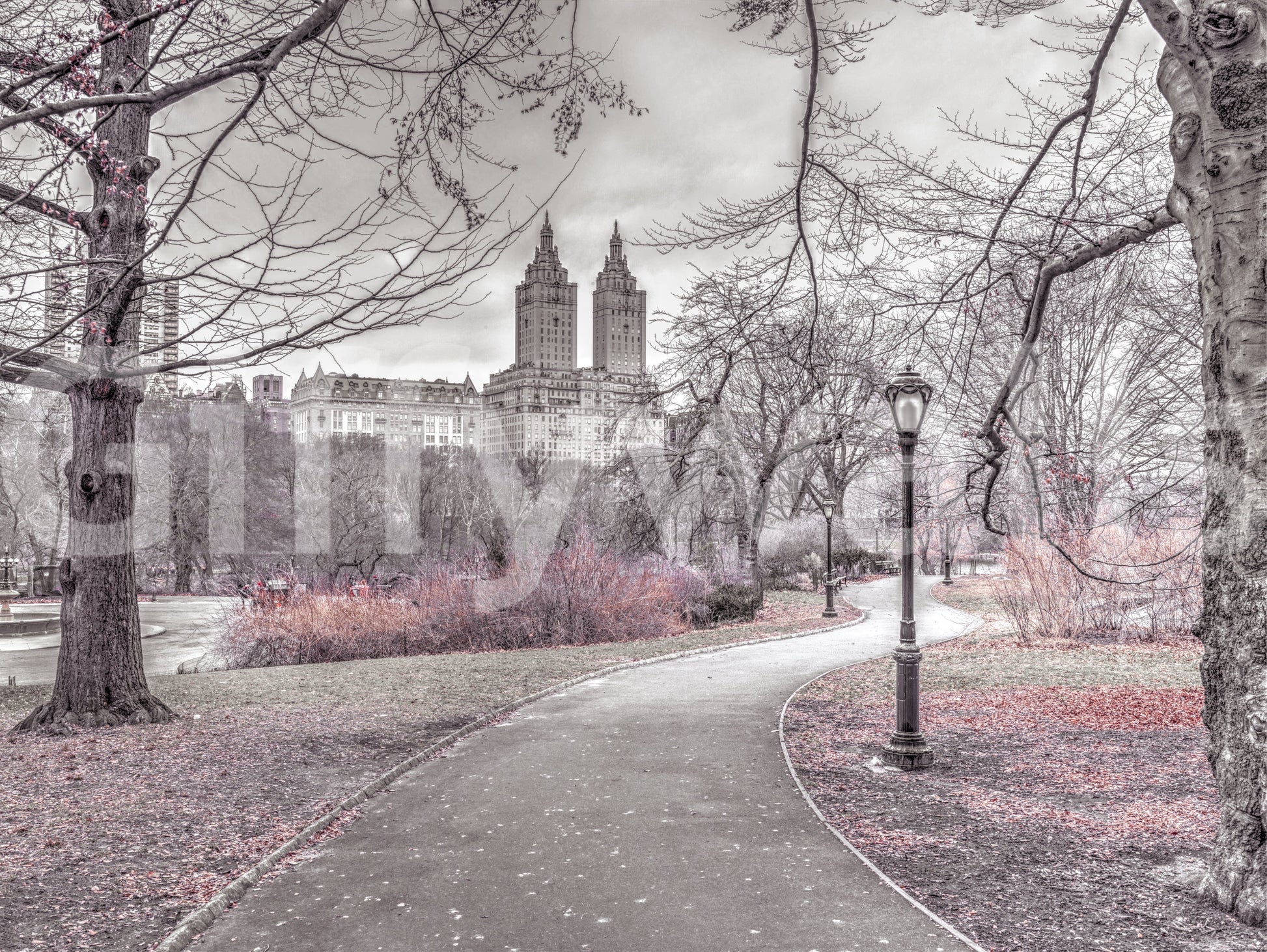 Central Park Skyline Promenade Wall Mural
