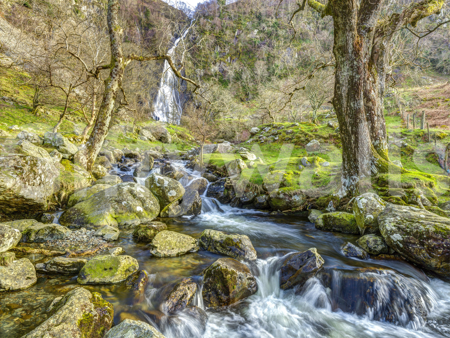Cascading Highland Waterfall Stream Wall Mural
