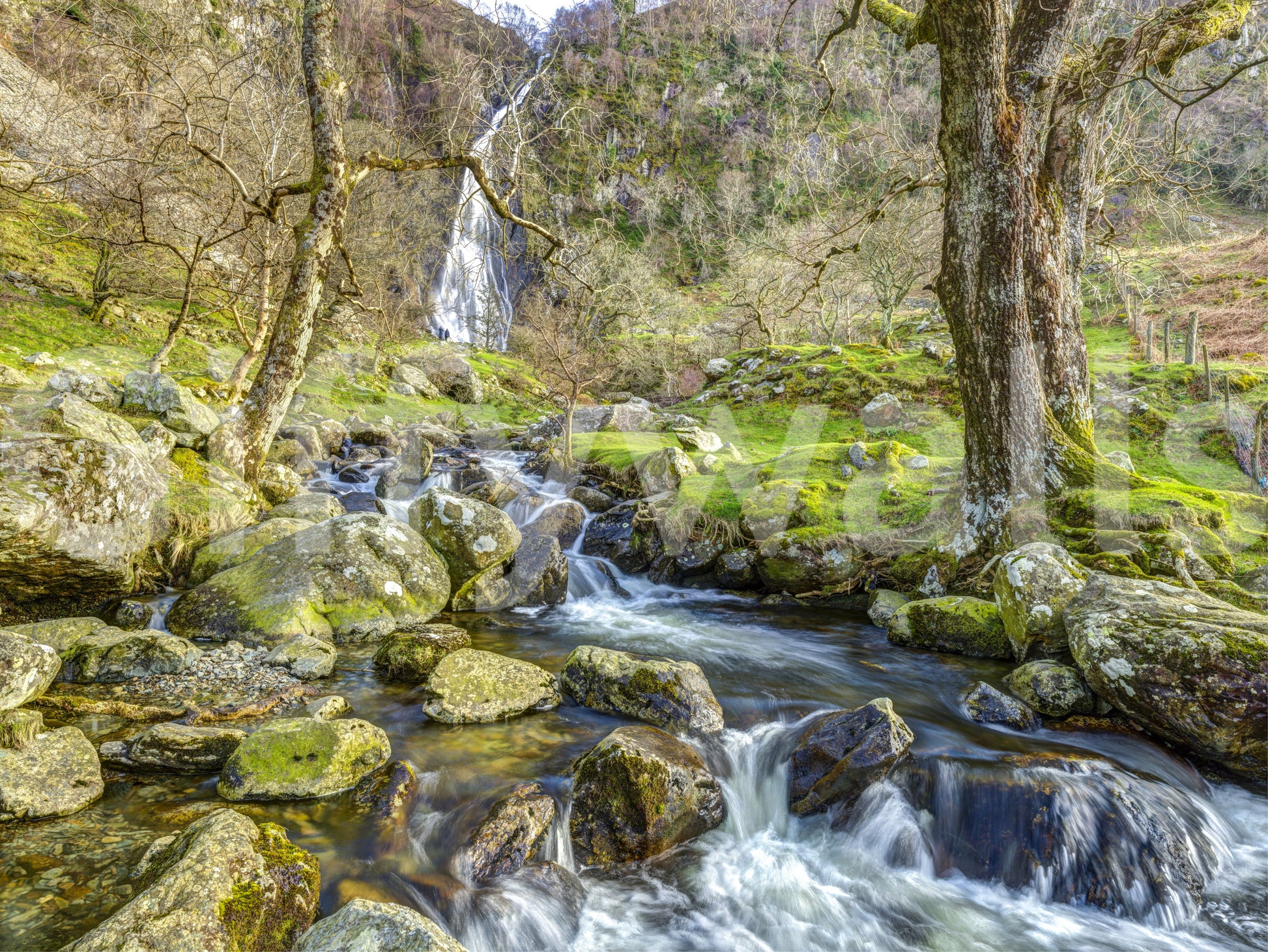 Cascading Highland Waterfall Stream Wall Mural