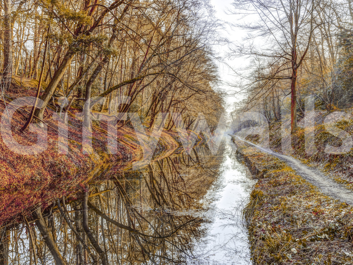 Autumn Canal Reflections Wall Mural