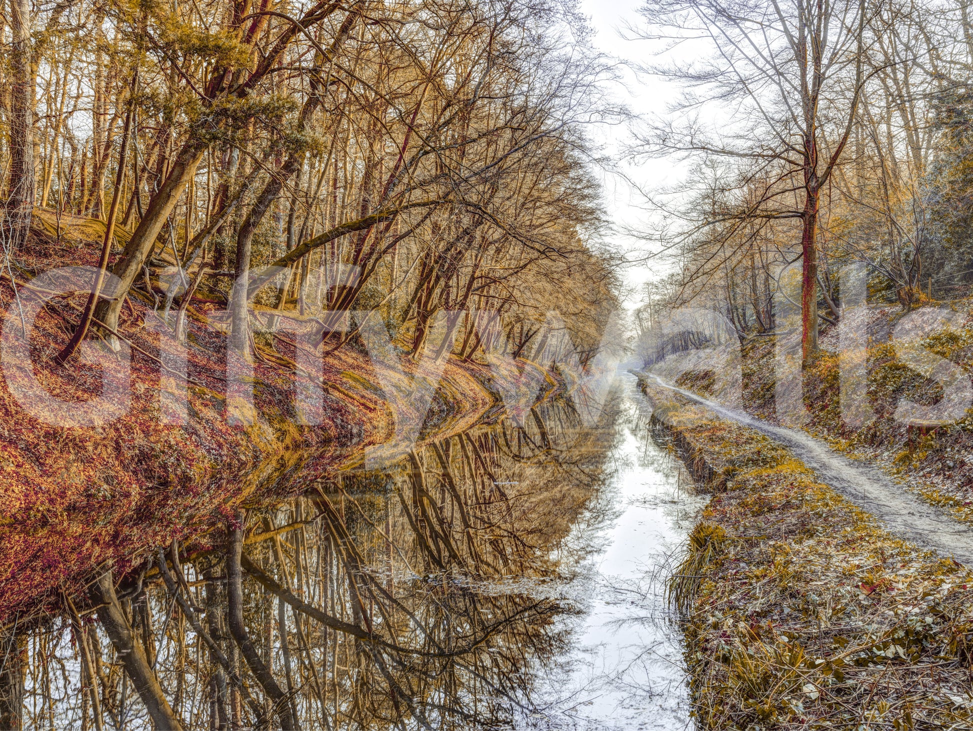 Autumn Canal Reflections Wall Mural