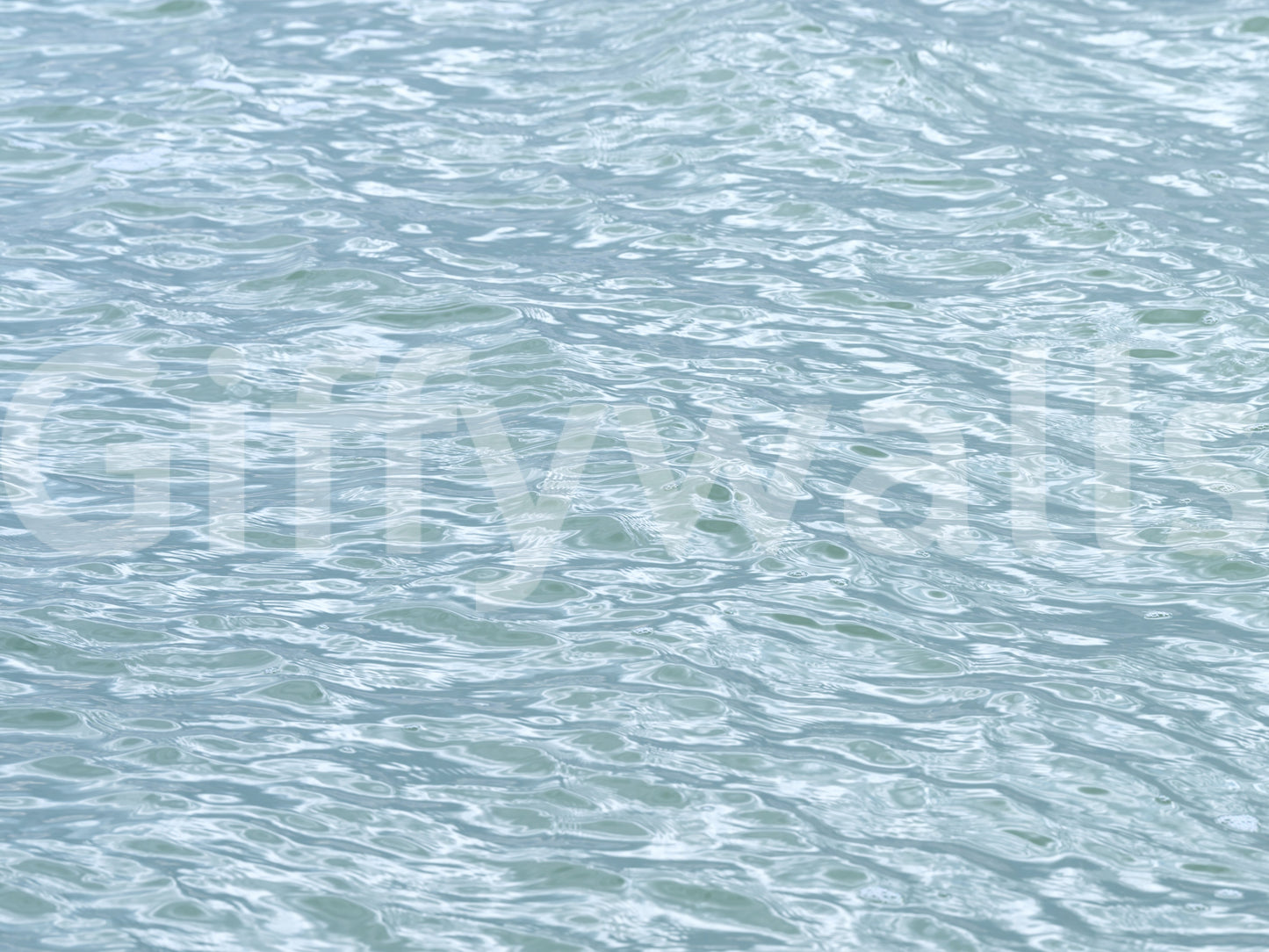 Glacial Ripples Aquatic Surface Wall Mural