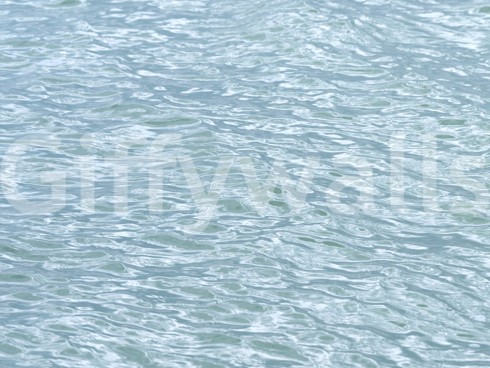 Glacial Ripples Aquatic Surface Wall Mural