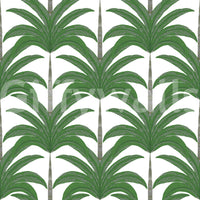 Arched Palm Frond Botanical Art Wallpaper⁠
