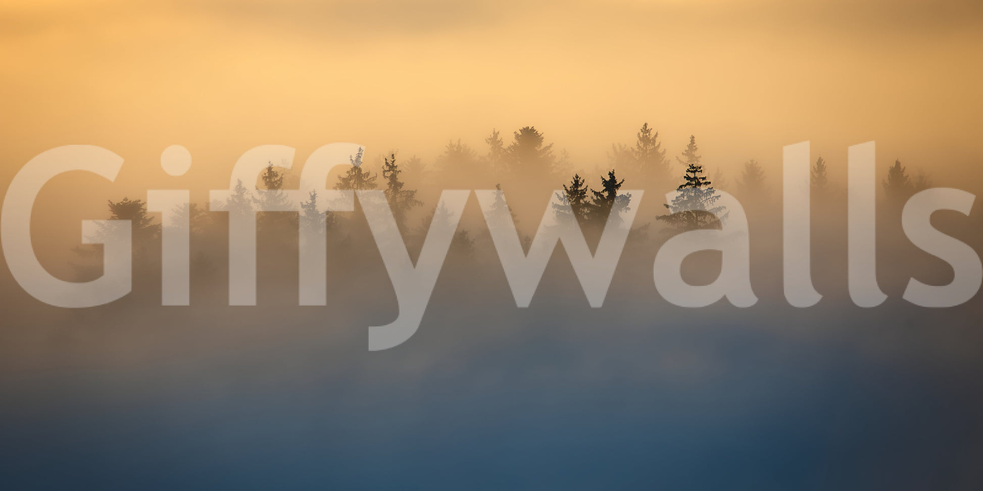 Golden Haze Pine Tree Landscape Wall Mural