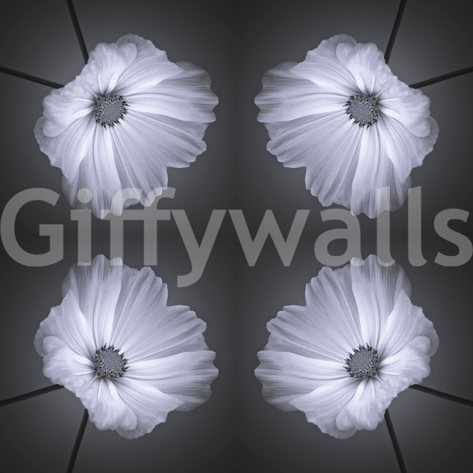Monochrome Botanical Symmetry Wallpaper⁠