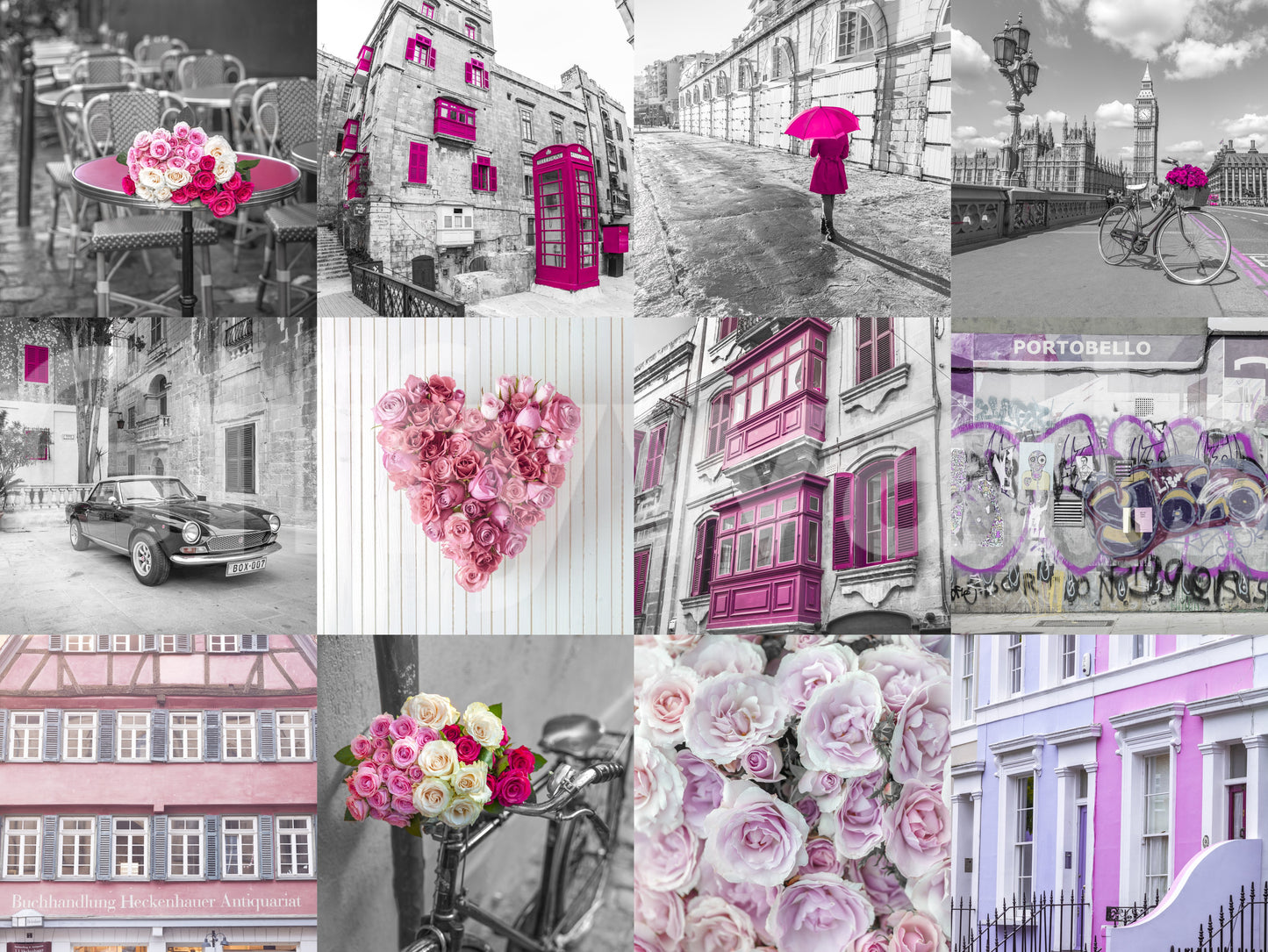 Monochrome Rose Cityscape Fusion Wall Mural