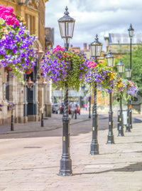 English Garden Street Vista Wall Mural