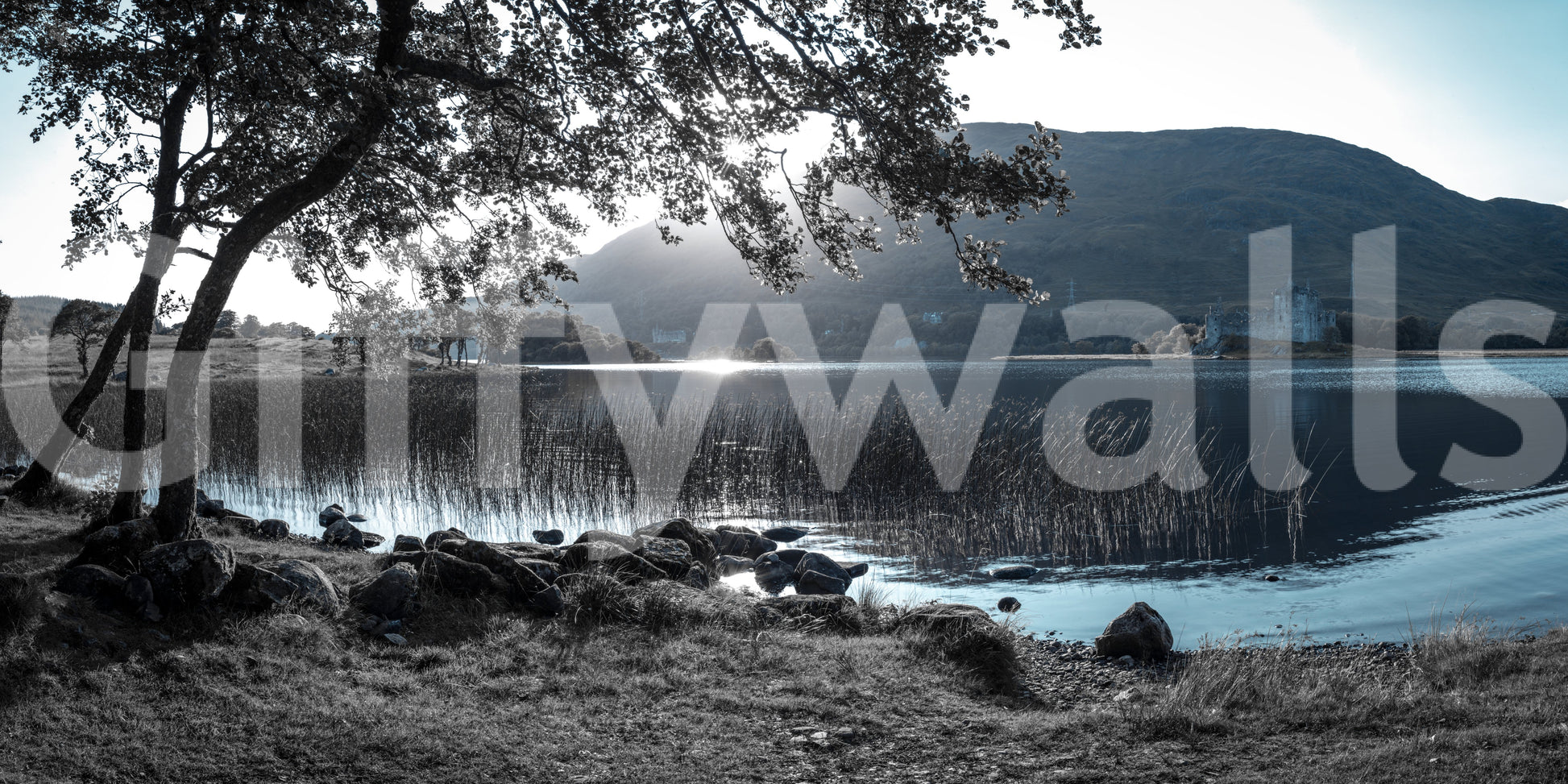 Misty Mountain Lake Retreat Wall Mural