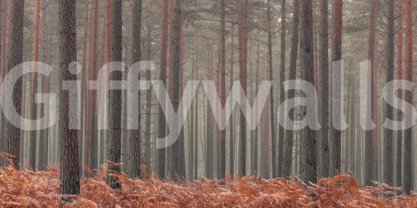 Rustic Autumn Grove Wall Mural