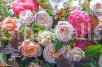 Velvet Petal Arrangement Wall Mural