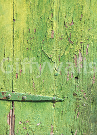 Rustic Industrial Green Wood Hinge Wall Mural