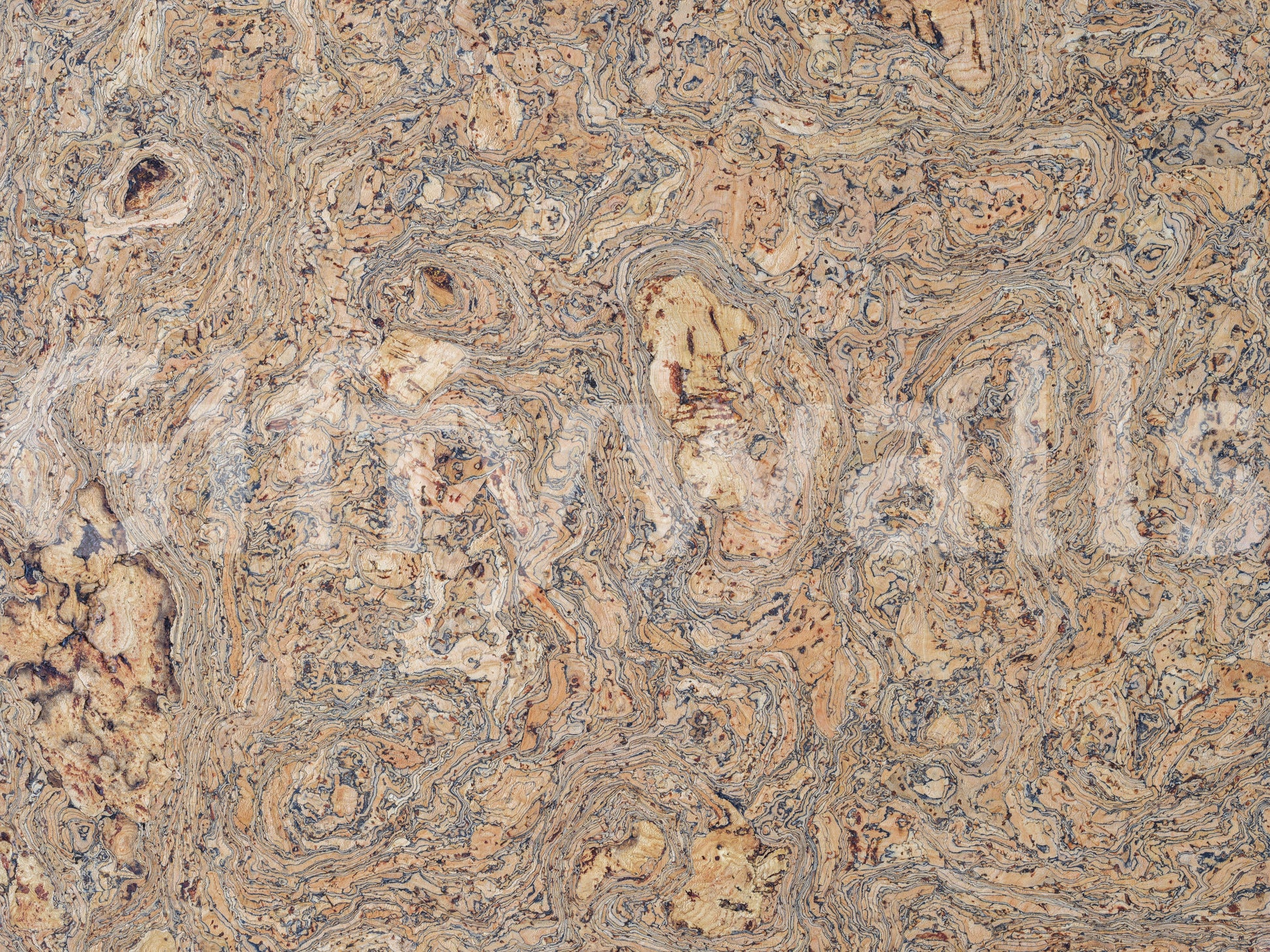 Rustic Swirling Bark Motif Wall Mural