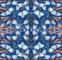 Pink & Blue Geometric Bloom Wallpaper - IKEBANA DESIGN Wallpaper⁠