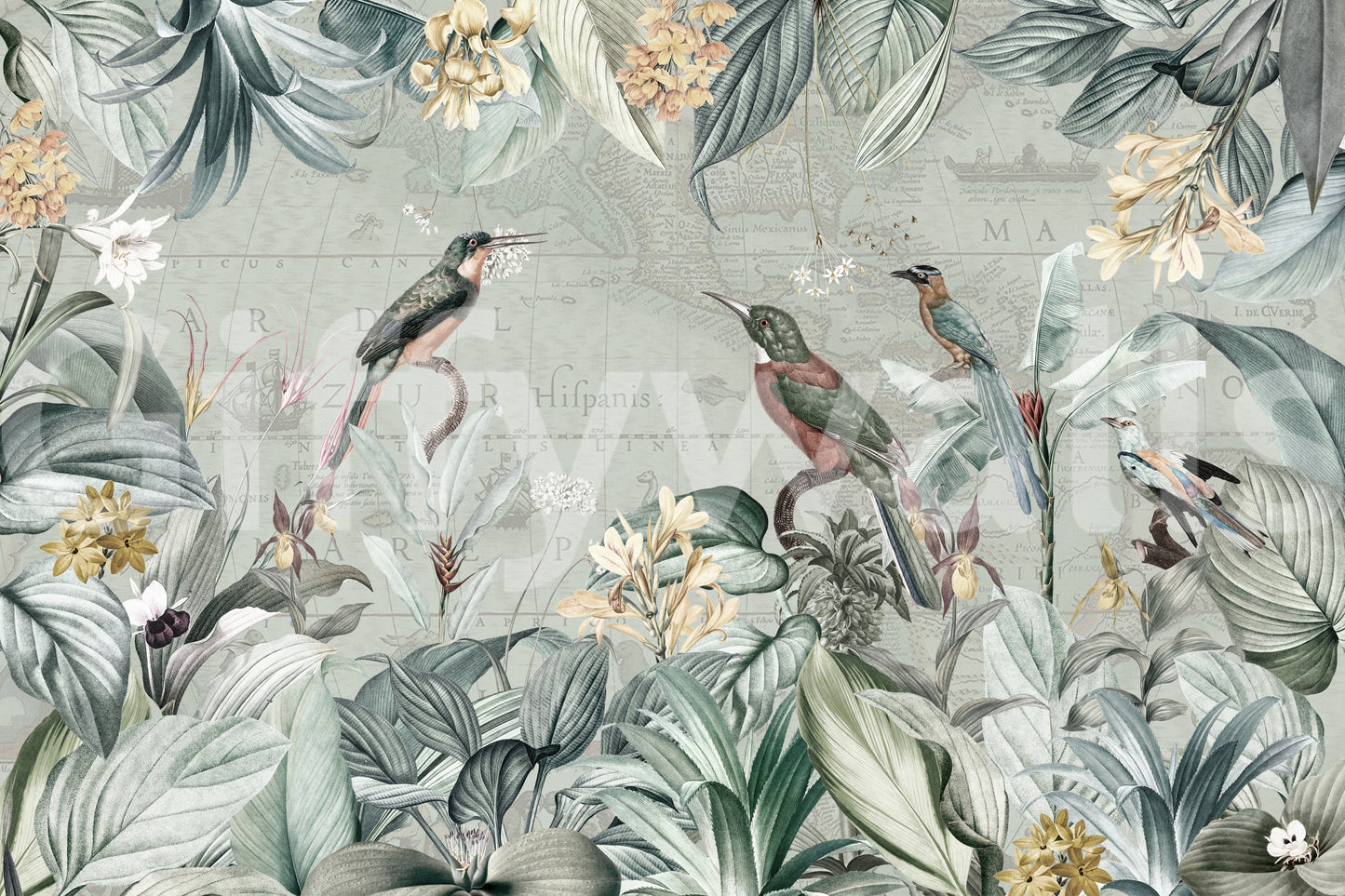 Vintage Explorer Tropical Garden Wall Mural