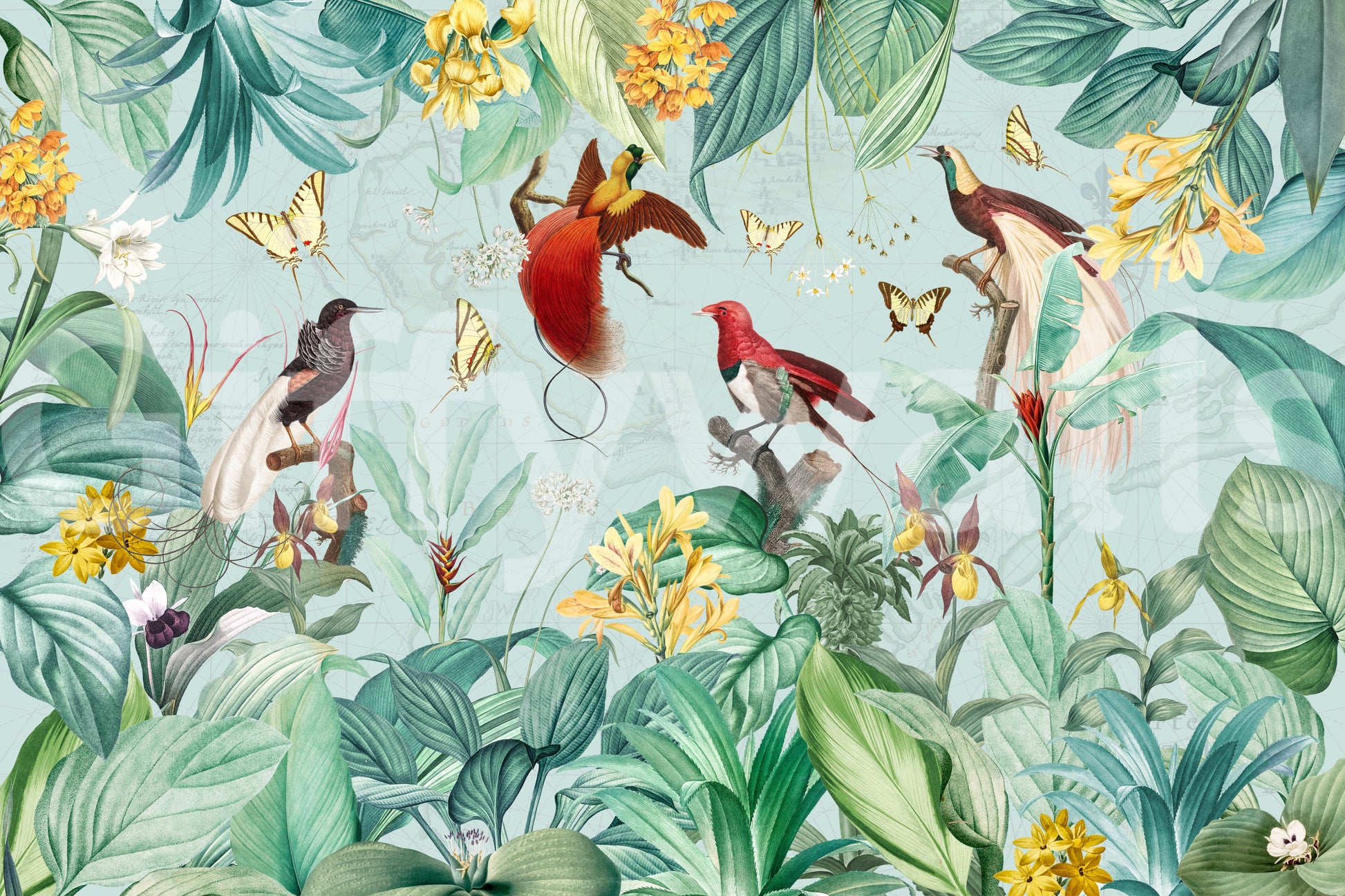 Exotic Bird and Tropical Flora Illustration Wall Mural