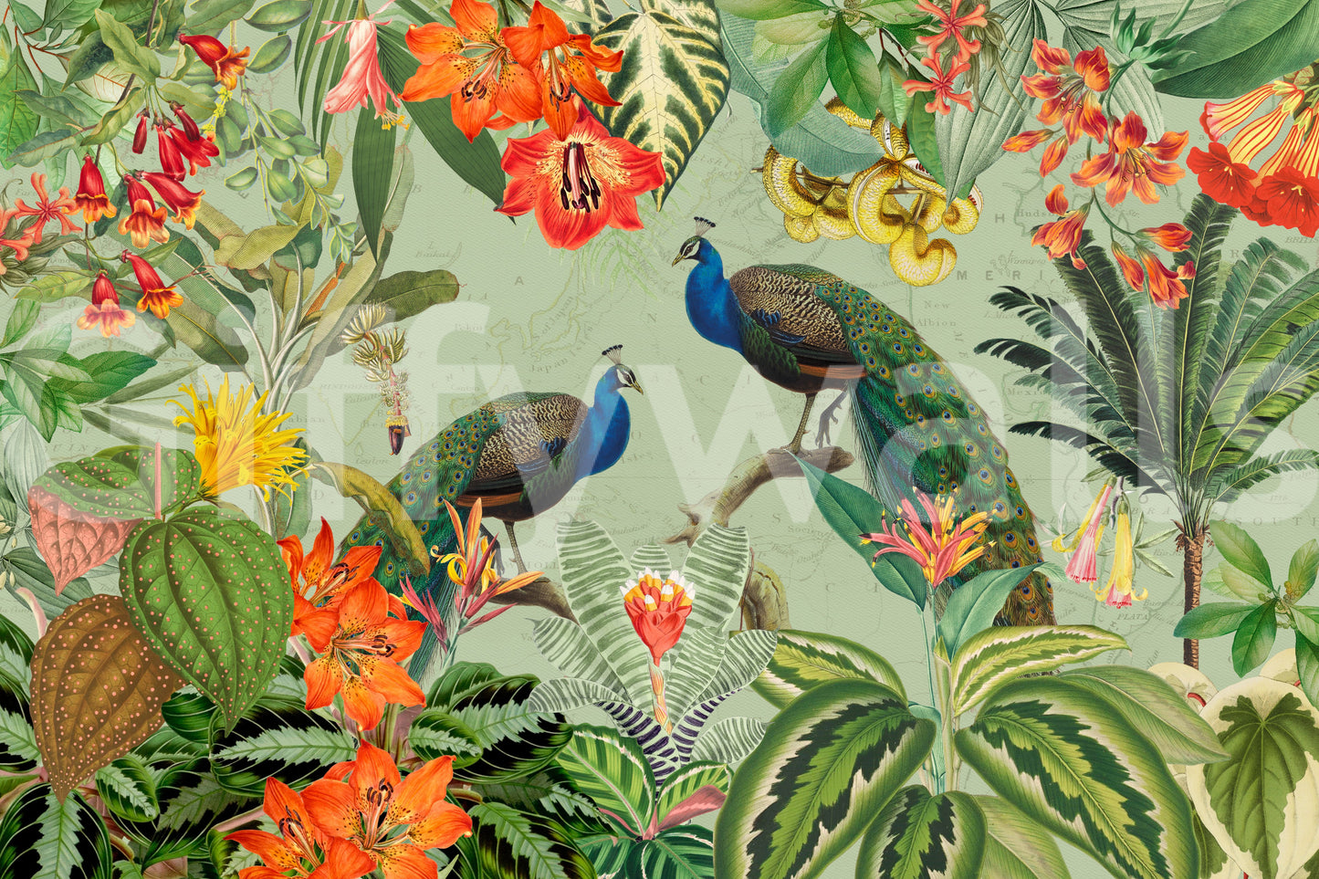Exotic Flora & Peacock Haven Wall Mural