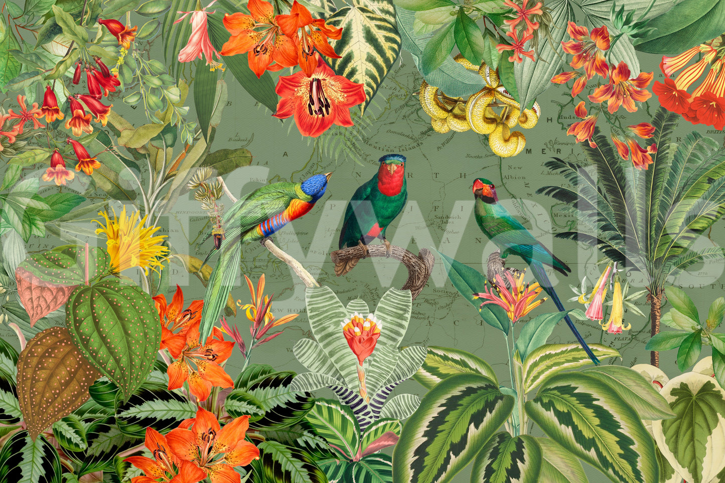 Exotic Botanical Explorer Mural Wall Mural