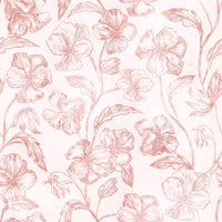 Blush Botanical Line Art Wallpaper⁠