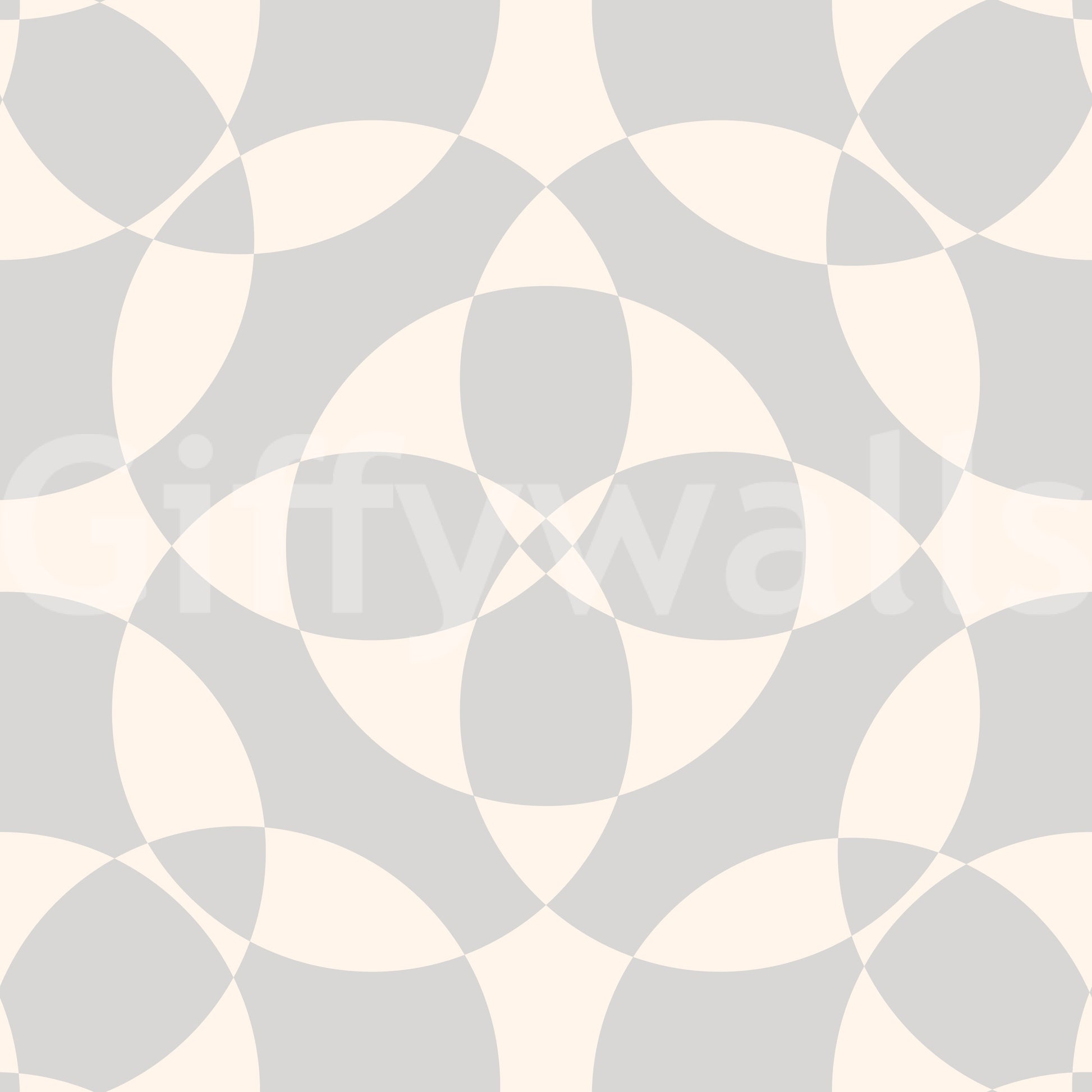 Minimalist Soft Geometric Circles Wallpaper⁠