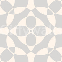 Minimalist Soft Geometric Circles Wallpaper⁠