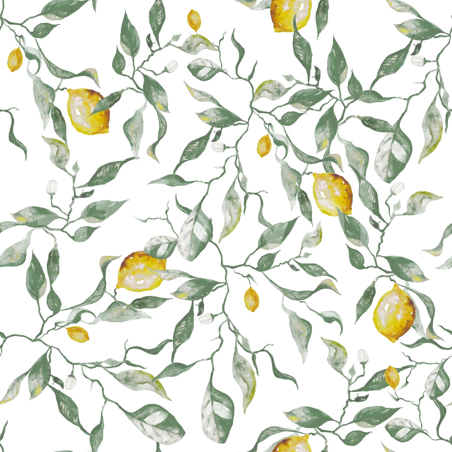 Mediterranean Citrus Grove Illustration Wallpaper⁠