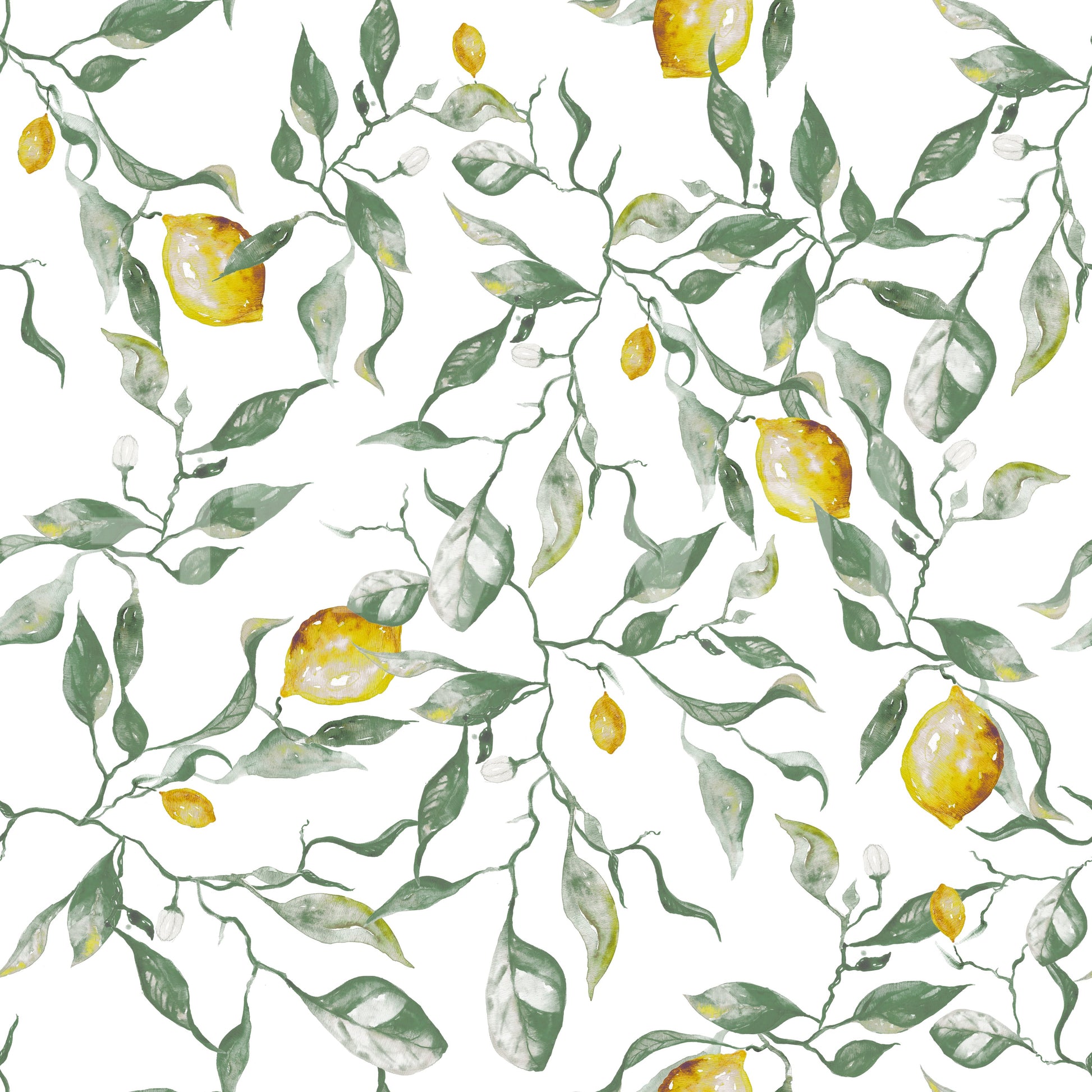 Mediterranean Citrus Grove Illustration Wallpaper⁠