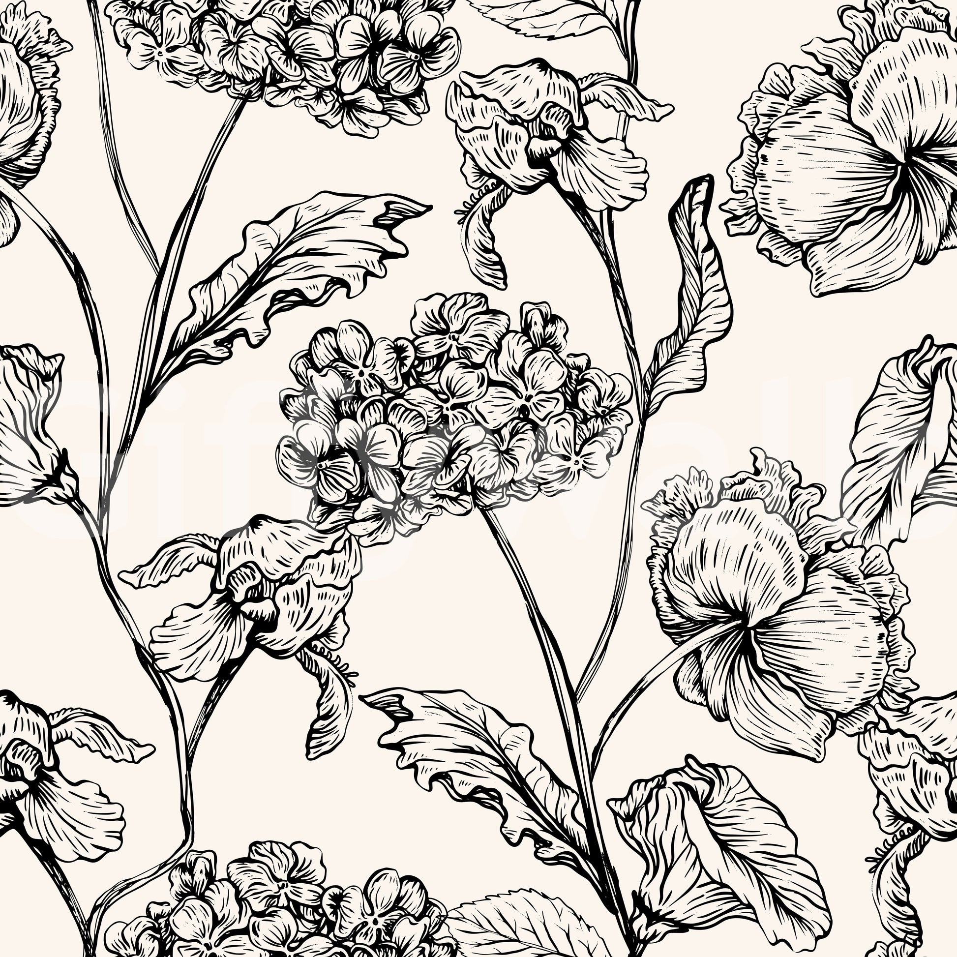 Monochrome Botanical Line Art Wallpaper⁠