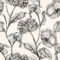 Monochrome Botanical Line Art Wallpaper⁠