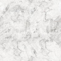 Monochrome Veined Marble Surface Wallpaper⁠