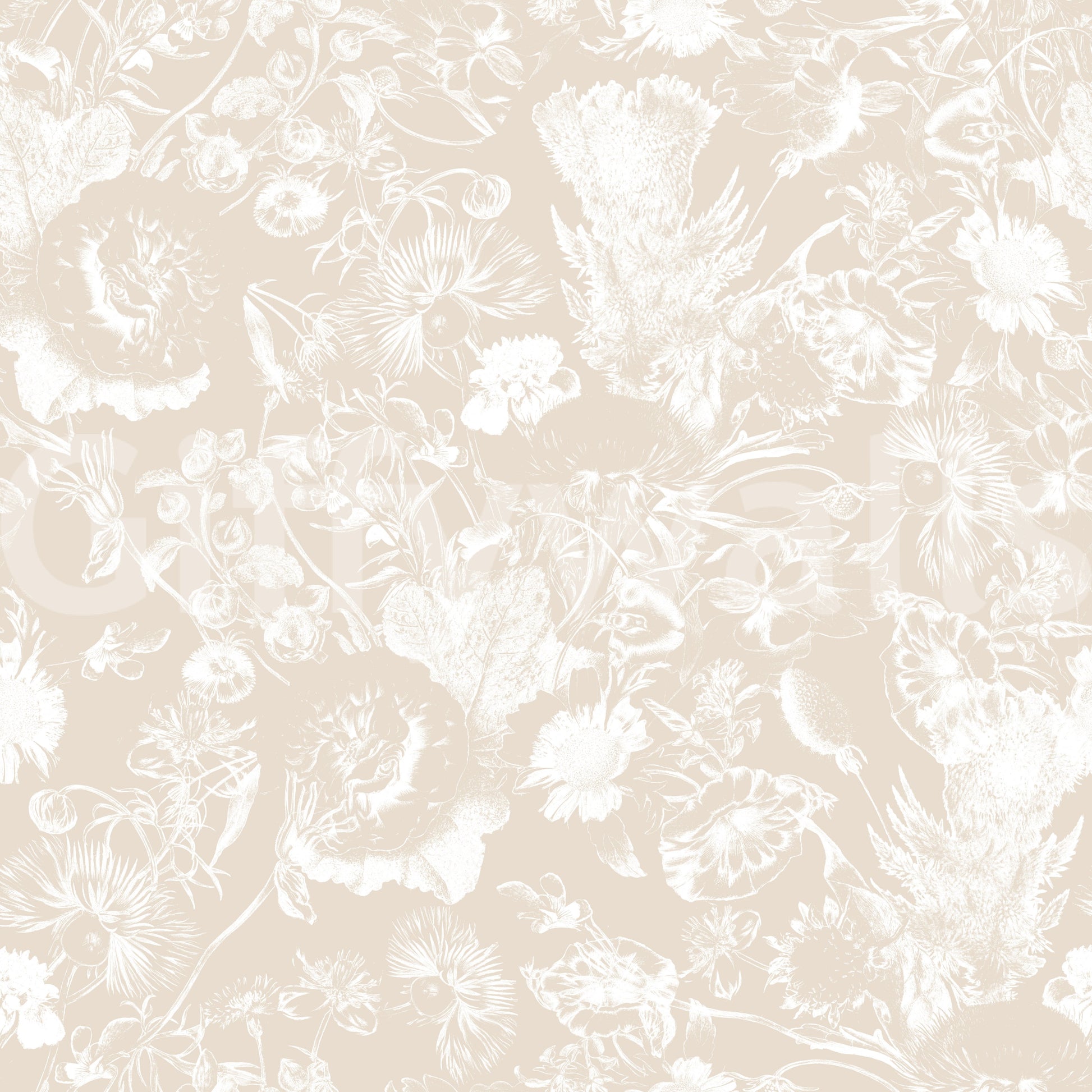 Cream Botanical Line Art Wallpaper⁠